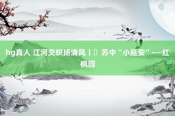 hg真人 江河交织扬清风丨㉘苏中“小延安”——红枫园