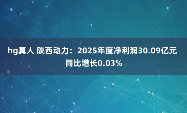 hg真人 陕西动力：2025年度净利润30.09亿元 同比增长0.03%