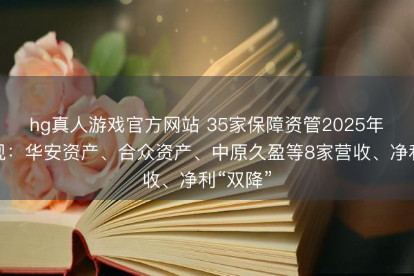 hg真人游戏官方网站 35家保障资管2025年功绩透视：华安资产、合众资产、中原久盈等8家营收、净利“双降”